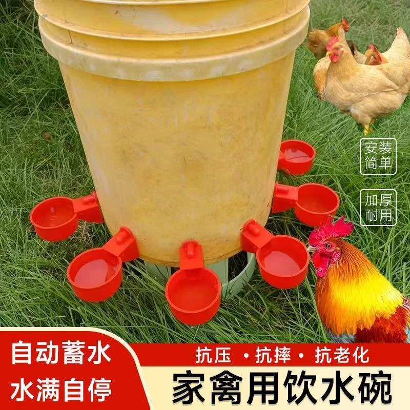 鸡用饮水器饮水碗育雏鸡自动饮水器乳头饮水碗接水杯小鸡育雏水碗