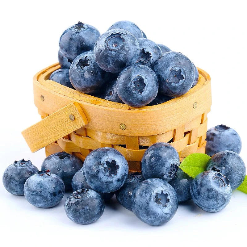 【迷迭蓝】24+云南新鲜蓝莓 4盒/8盒 香甜口 顺丰包邮