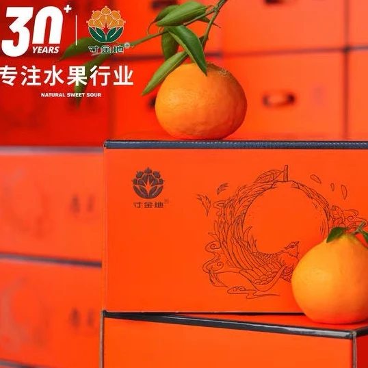 寸金地   春见耙耙柑一份毛重4.5公斤左右