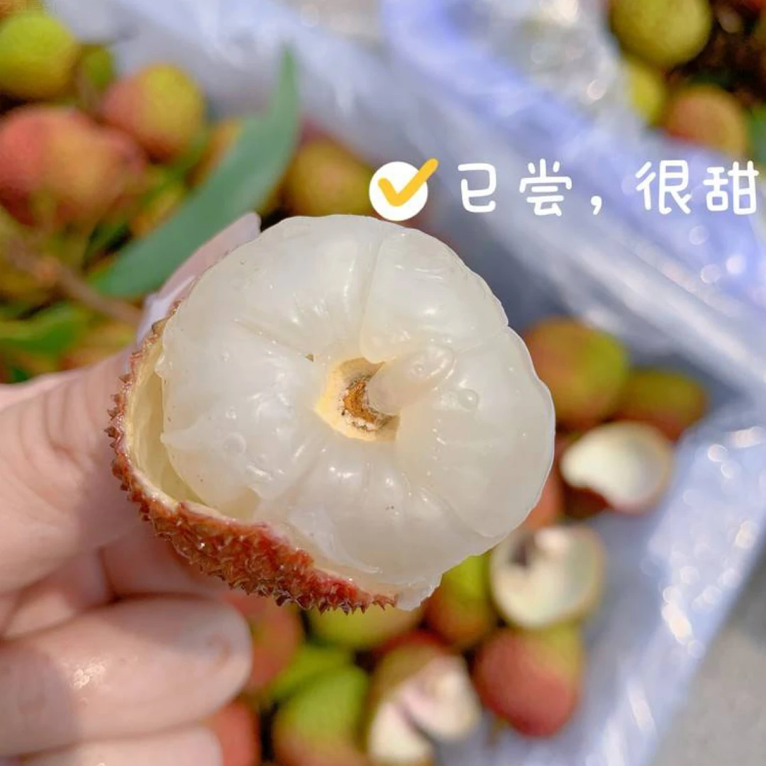 「夏日快乐」妃子笑荔枝  一件净重3公斤