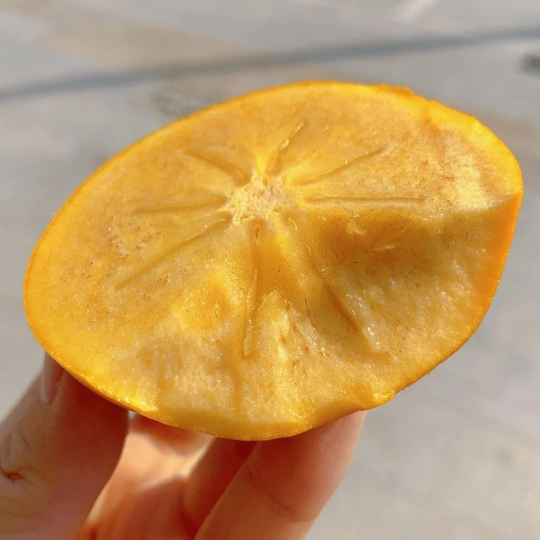 脆甜柿子  削皮吃 脆甜可口 顺丰包邮