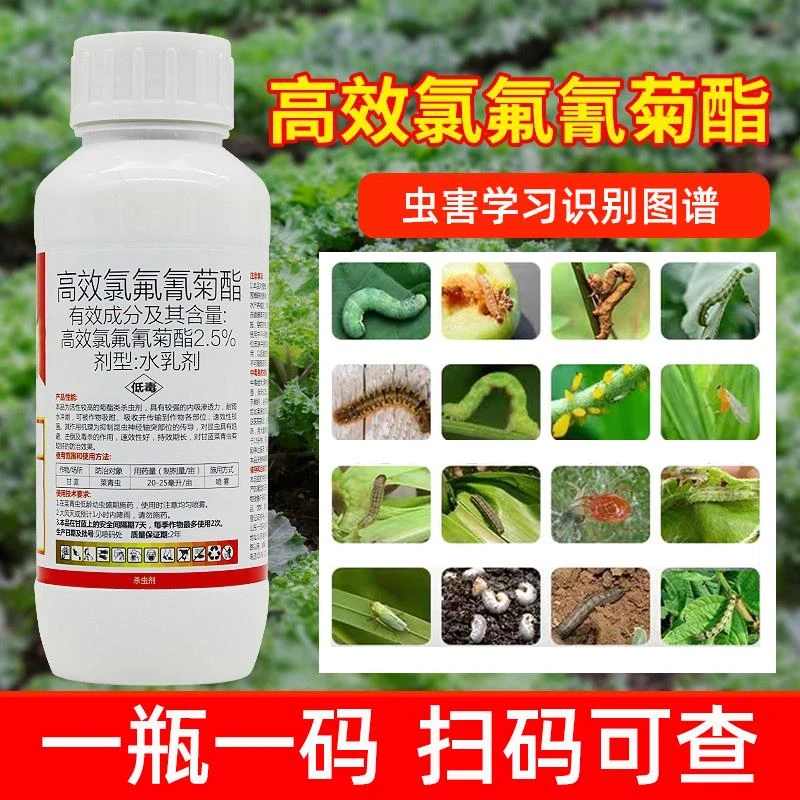 高效氟氯氰菊酯蔬菜杀虫剂菜青虫绿盲蝽专用家庭抑制氯氟低毒含量