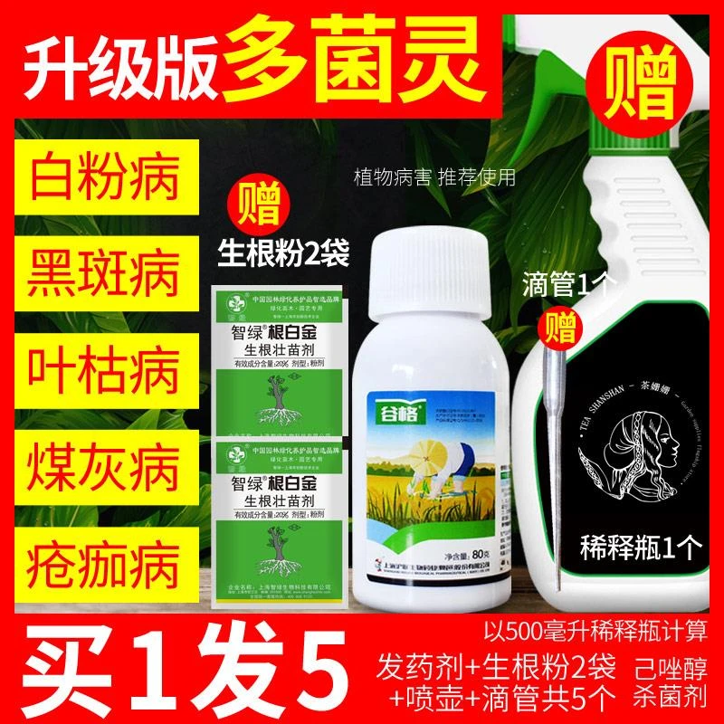 多菌灵月季黑斑病专用药白粉病药兰花花药多肉多菌菌灵杀菌剂花卉