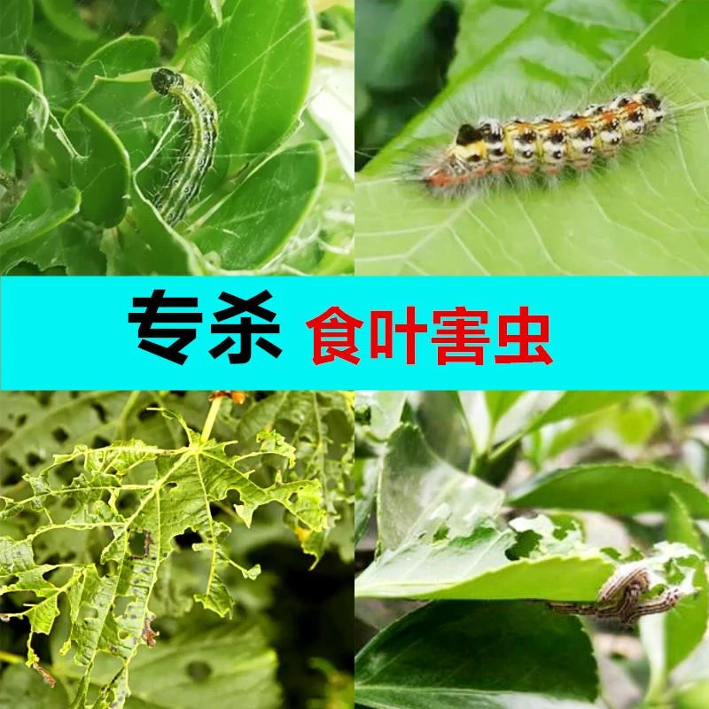 花药杀虫剂甲维虫螨腈食叶害虫吊丝虫甜菜夜园林化工含量复配杀死