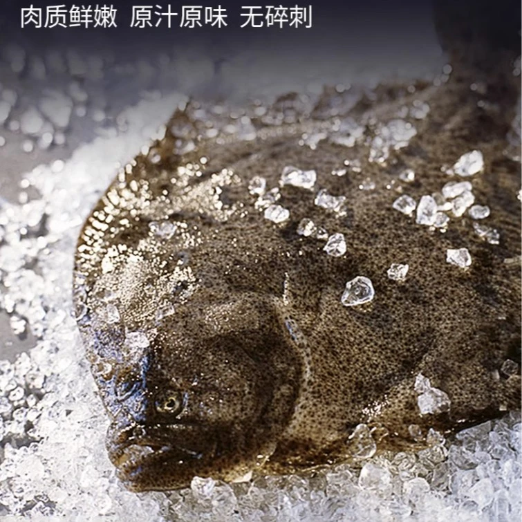 鲜活多宝鱼一条约1.2斤