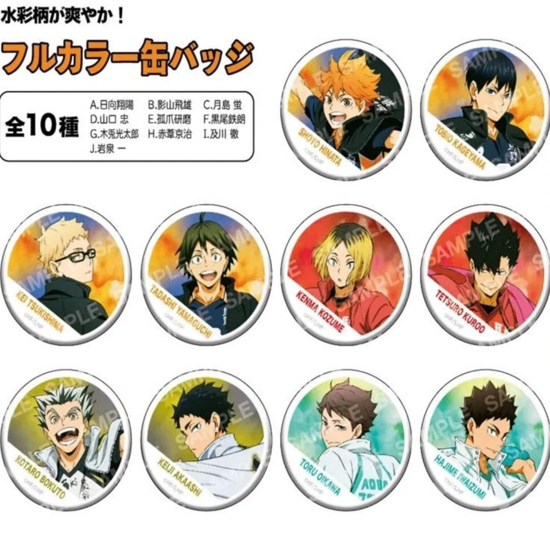 【日谷】排球少年 队旗徽章吧唧 普&闪吧唧盲盒盲抽（代抽）