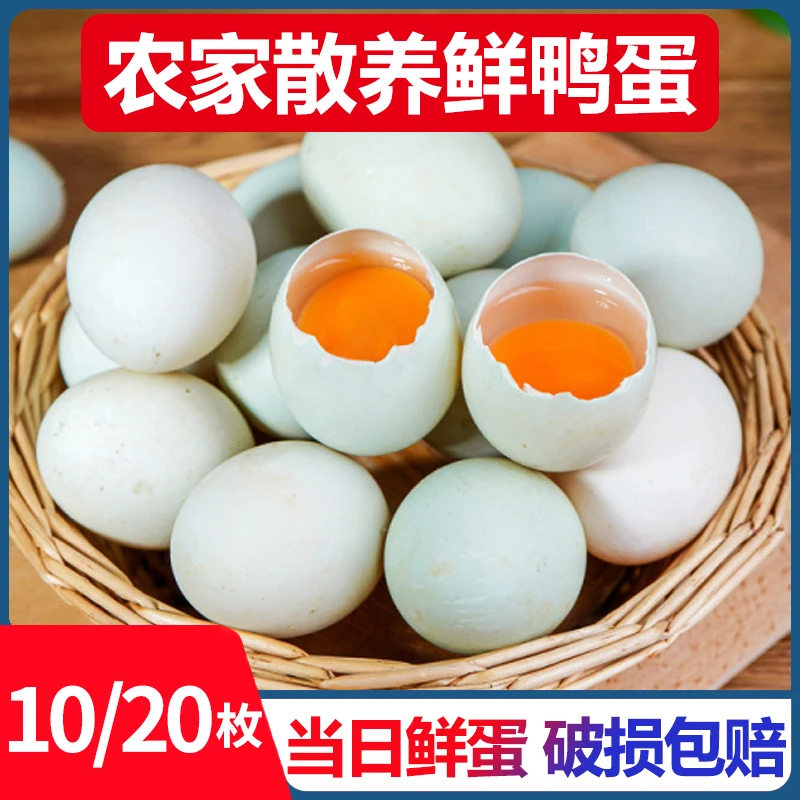 耕果妙正宗农家散养大个鲜鸭蛋10枚绿壳生鸭蛋 生鲜鸭蛋现捡现发D