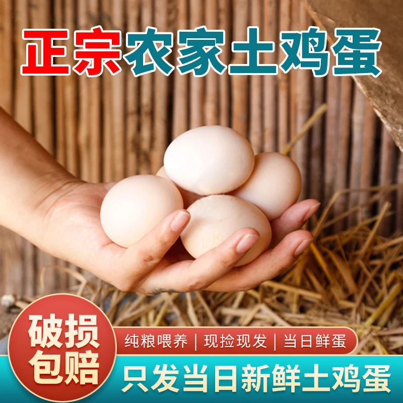 新鲜土鸡蛋10枚农家谷物新鲜鸡蛋散养土鸡蛋每日鲜蛋M
