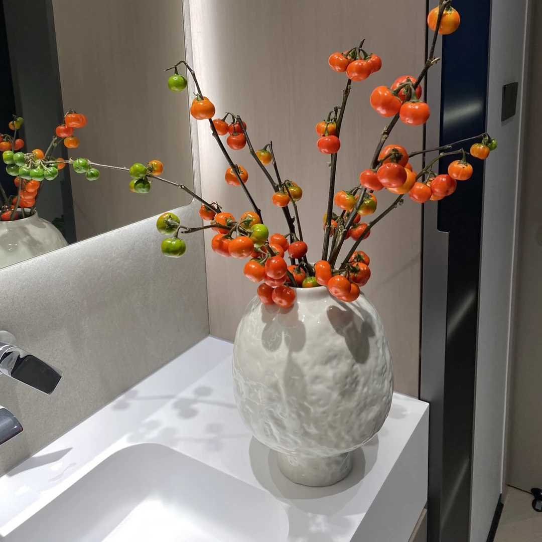 【小番茄】可做干花/适合居家养的长花期花