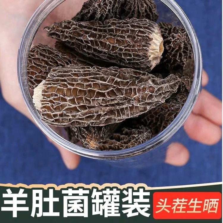 云南高黎贡山深野外生长羊肚菌肉厚味香煲汤饱满食用50克