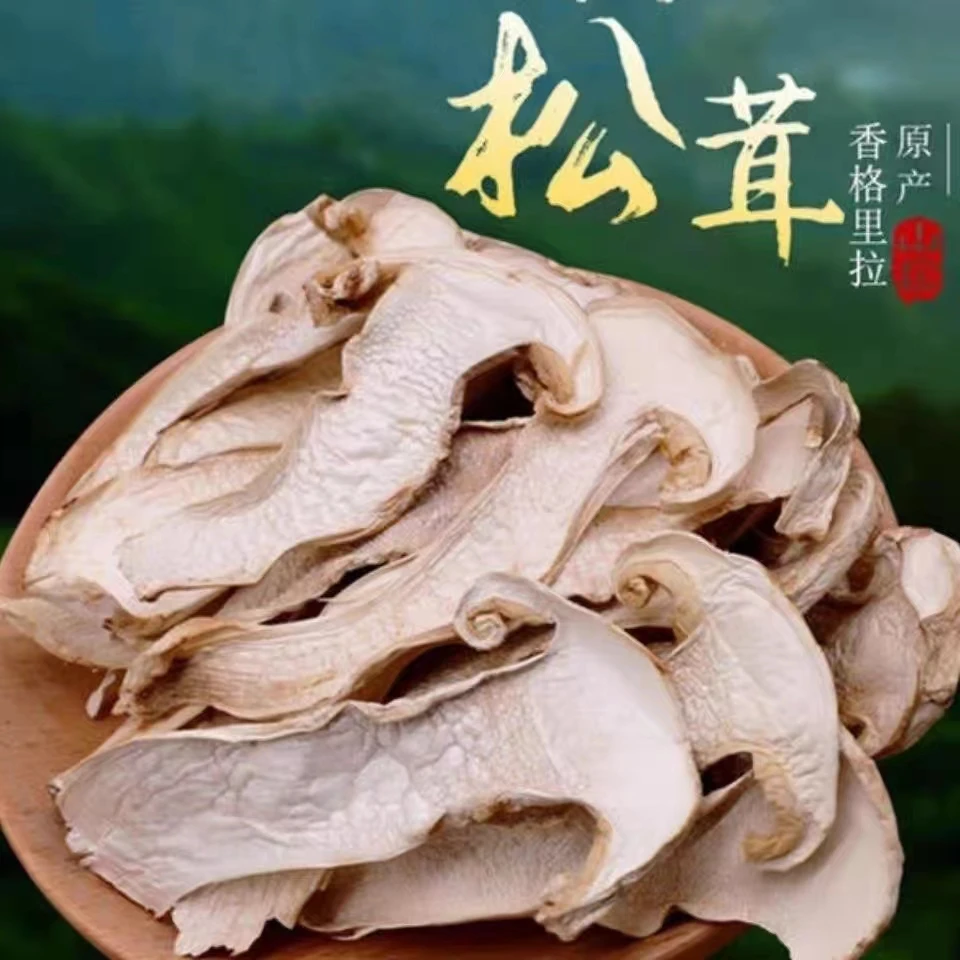 云南野外生长松茸菌新鲜无硫煲汤当季新货人工筛选包邮250g500g