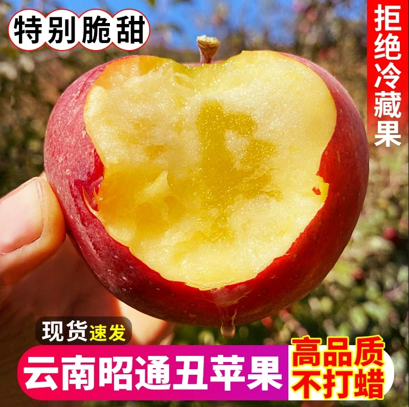 云南昭通冰糖心丑苹果甜脆红富士苹果新鲜水果当季整箱包邮苹果
