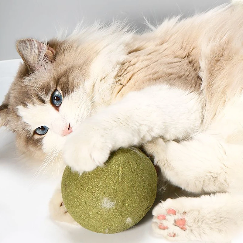 【10cm大过猫猫头】巨型猫草自嗨解闷虫瘿果宠物啃咬磨牙猫薄荷球