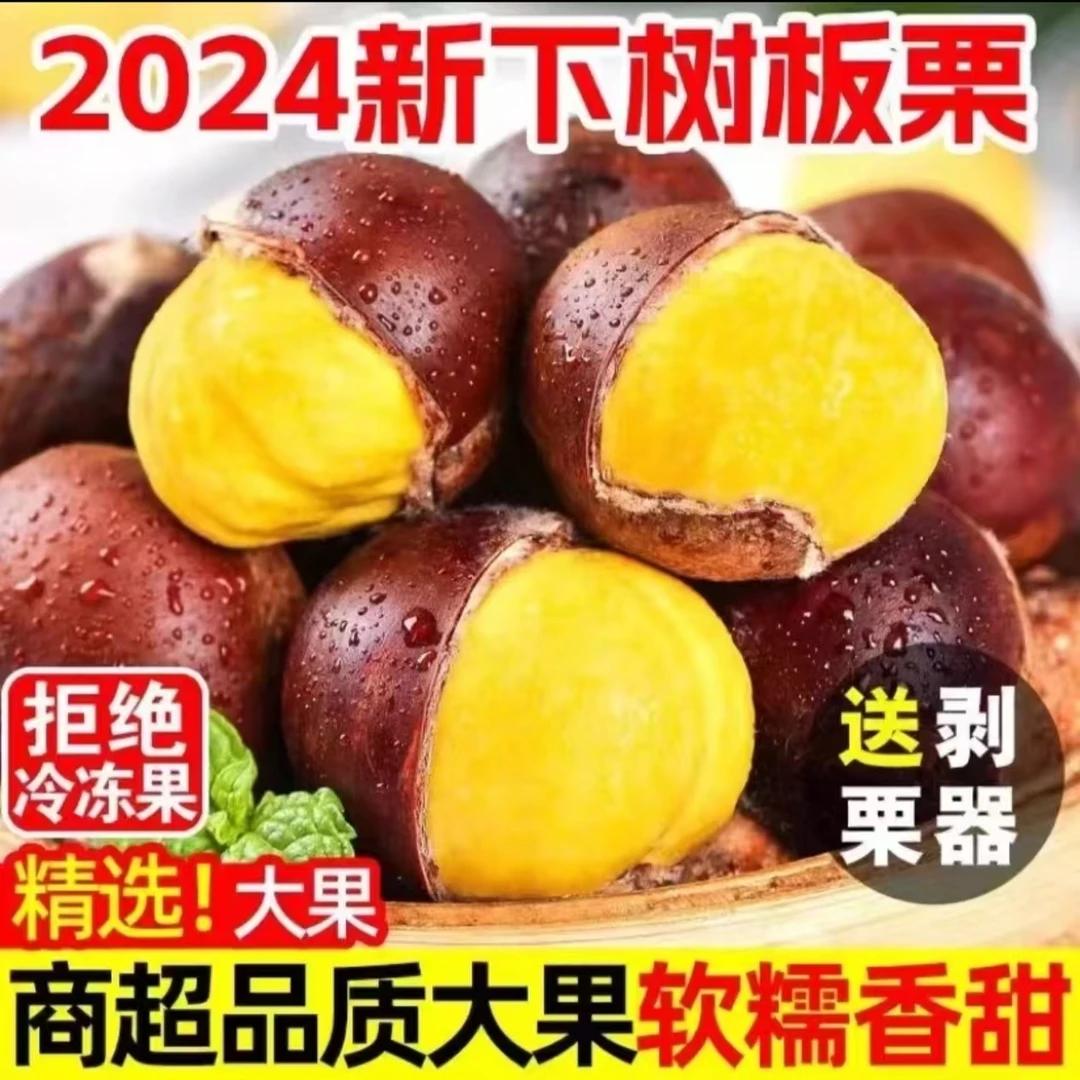 2024正宗丹东新鲜大板栗5斤产地直发生板栗（送栗爪)