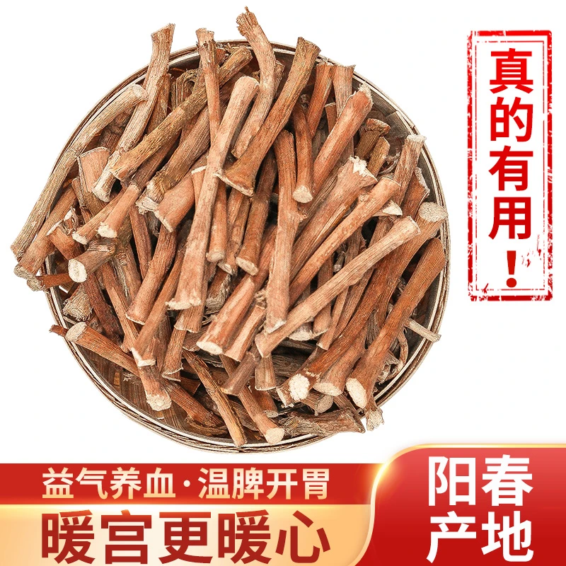 正宗阳春春砂仁干根天然春砂仁根新货煲汤煮水原产地农家特产