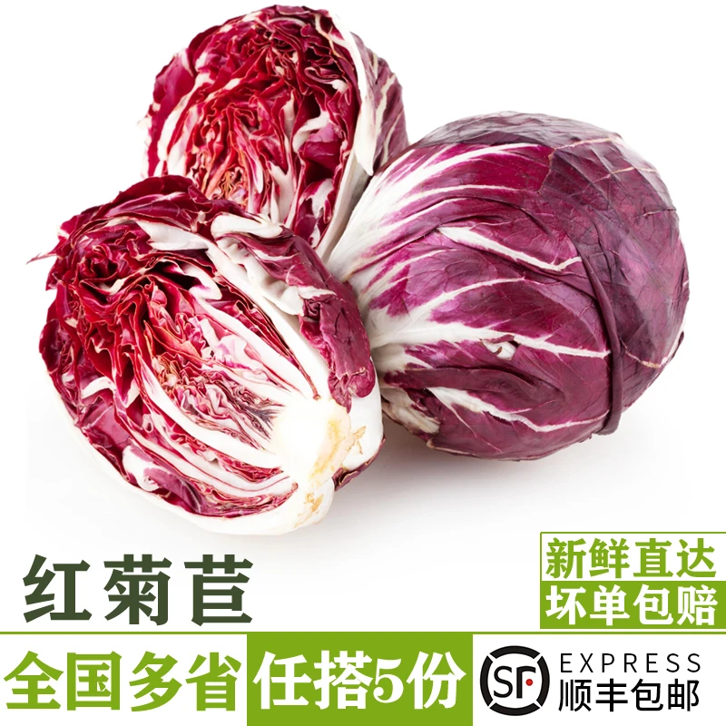 红菊苣250g 落地红生菜紫苣新鲜蔬菜沙拉食材生吃红球红叶包菜