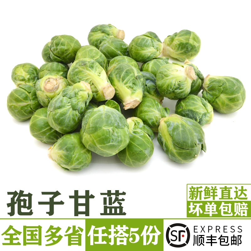 孢子甘蓝500g新鲜蔬菜西餐沙拉食材抱子甘蓝球芽甘兰小包菜卷心菜
