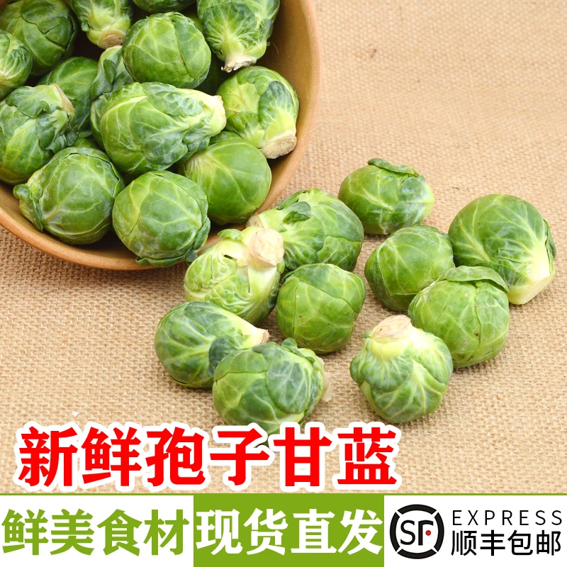 新鲜孢子甘蓝 西餐沙拉蔬菜食材抱子甘蓝 小甘兰小包菜1-5斤