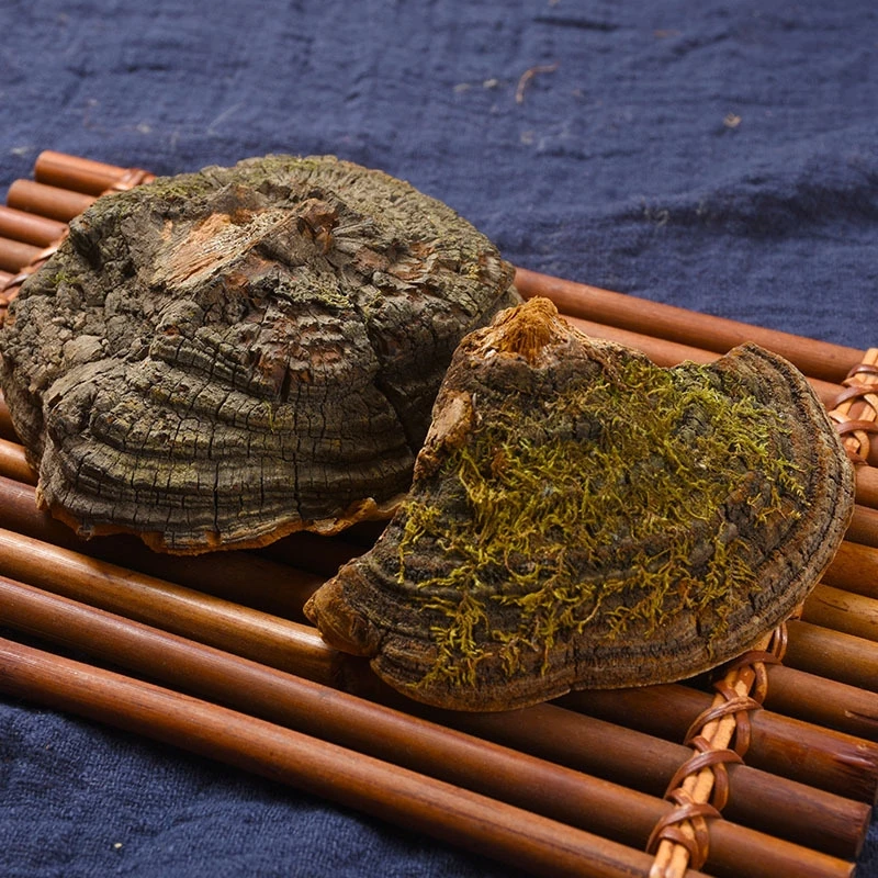 西藏深山桑黄桑黄菌煮水净重250克/500克食用清香
