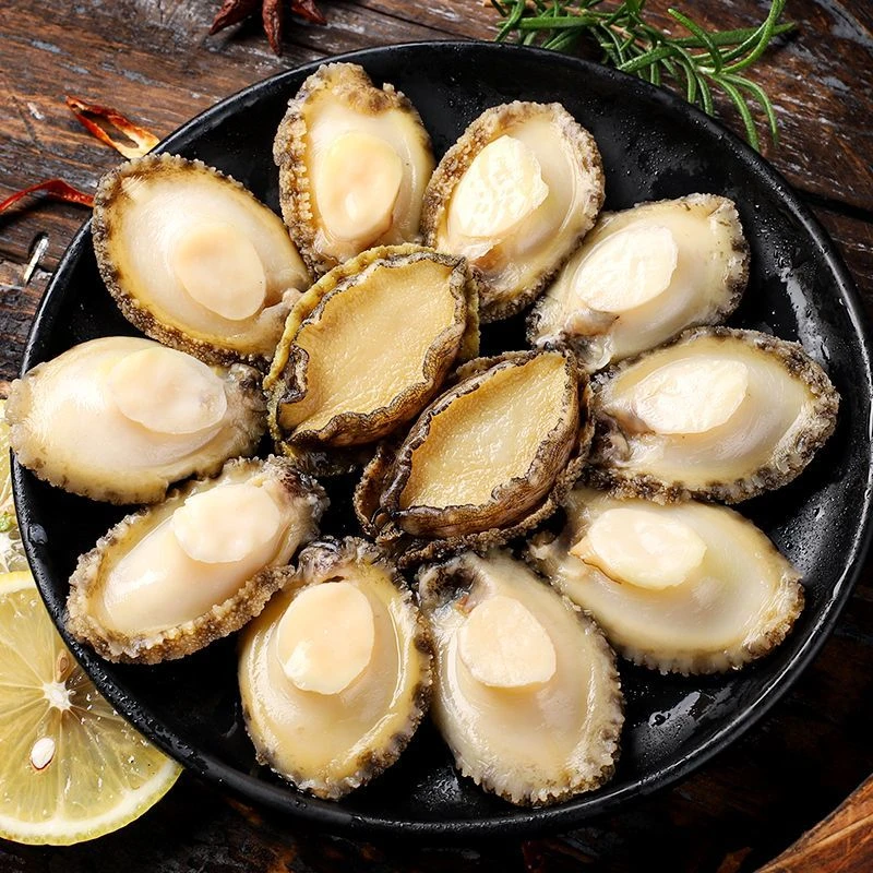 鲍鱼肉活鲍鱼速冻发货