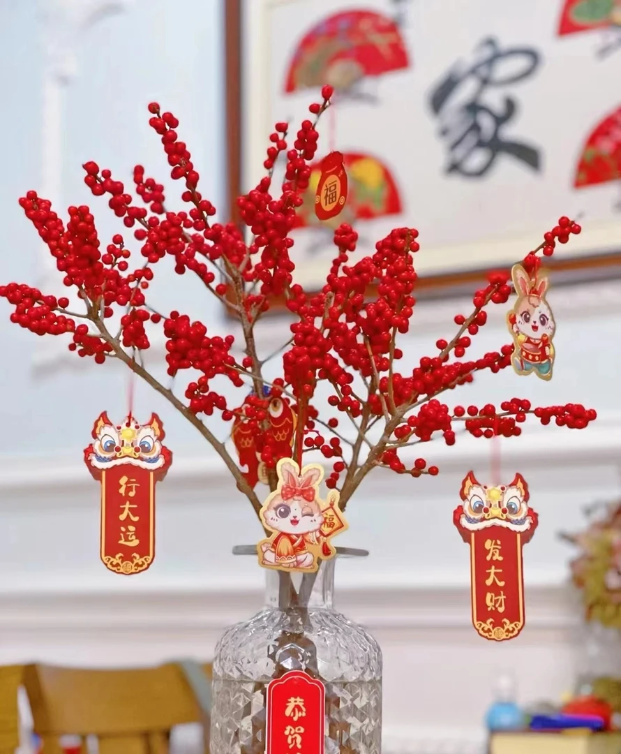 A级北美冬青     【 运输过程中轻微掉果正常介意慎拍】