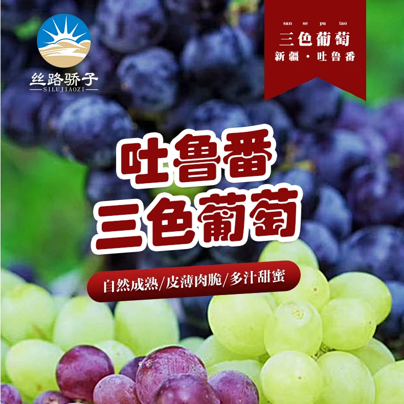 【顺丰冷链】丝路骄子新疆吐鲁番应季水果三色鲜葡萄4斤