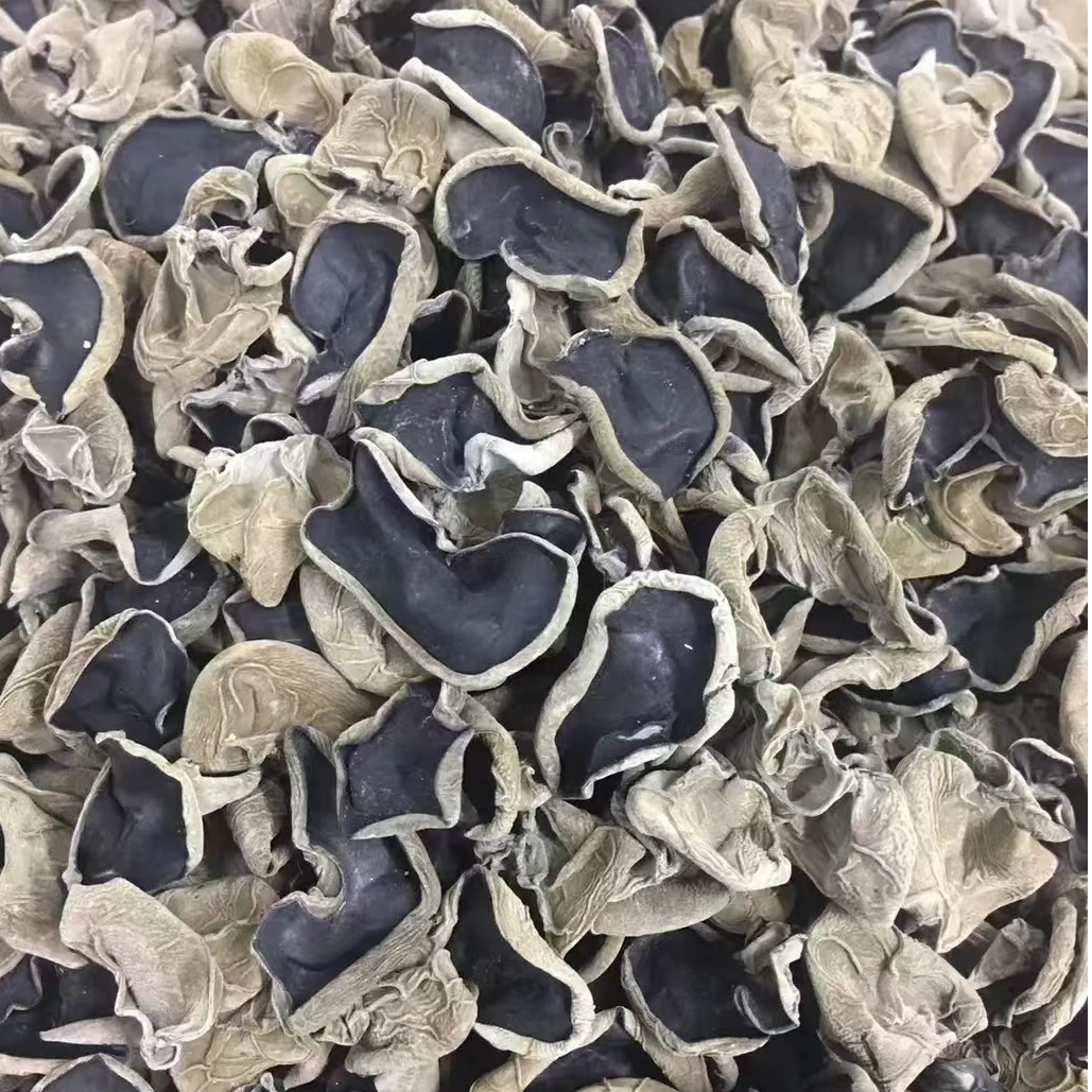 四川万源端木青杠树木耳