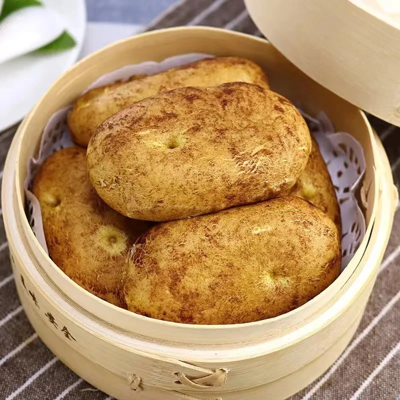 蛋奶薯泥馅的土豆包儿童早餐食品速冻包子成人款广式早茶点心面食