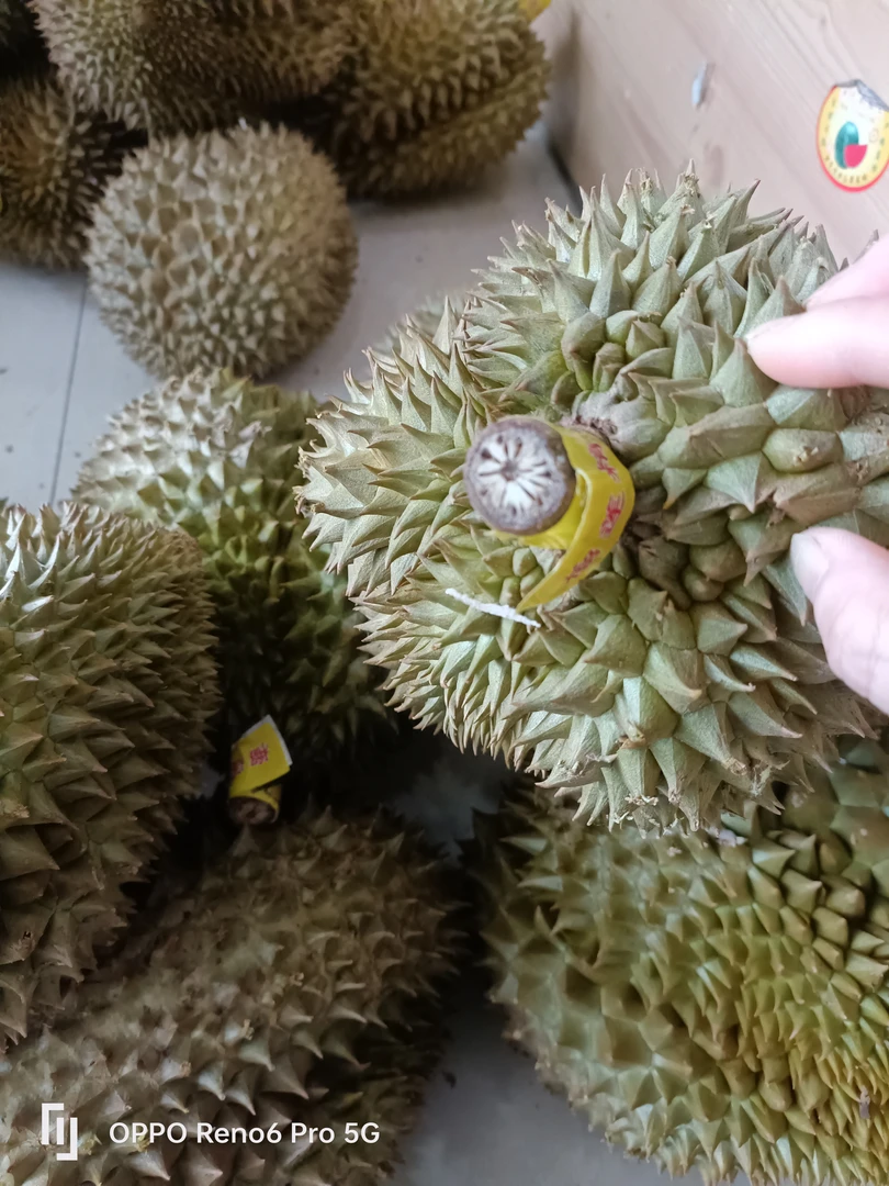 4到5斤金枕榴莲一个