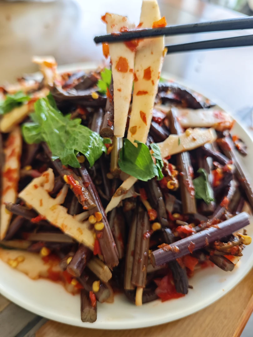 贵州榕江家乡特产酸芥菜带酸笋农村制作下饭菜