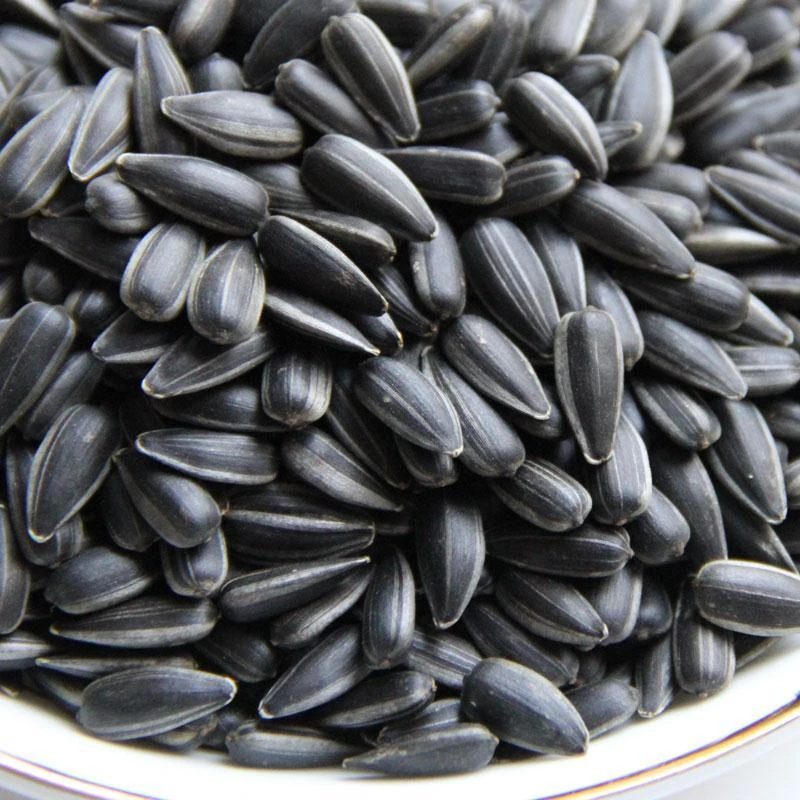 黑珍珠油葵瓜子小瓜子炒熟原味奶油味薄盐生油葵
