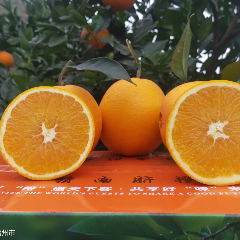赣南脐橙5斤10斤赣州橙子原产地现摘直发应季新鲜水果江西脐橙