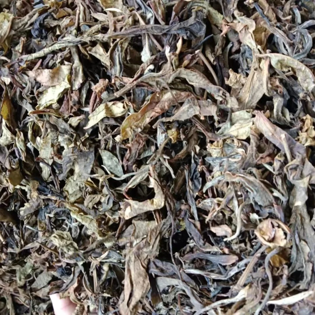 2022年飞台大黄金叶头春头采一公斤 普洱茶 生茶