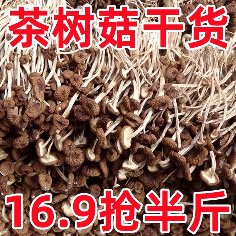 16.9抢半斤】茶树菇煲汤炖菜当季新品鲜香脆嫩味美250g年货