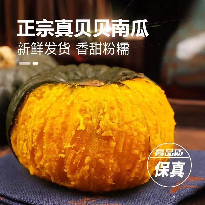 沙漠贝贝南瓜粉糯香甜宝宝代餐新鲜老瓜内蒙头茬
