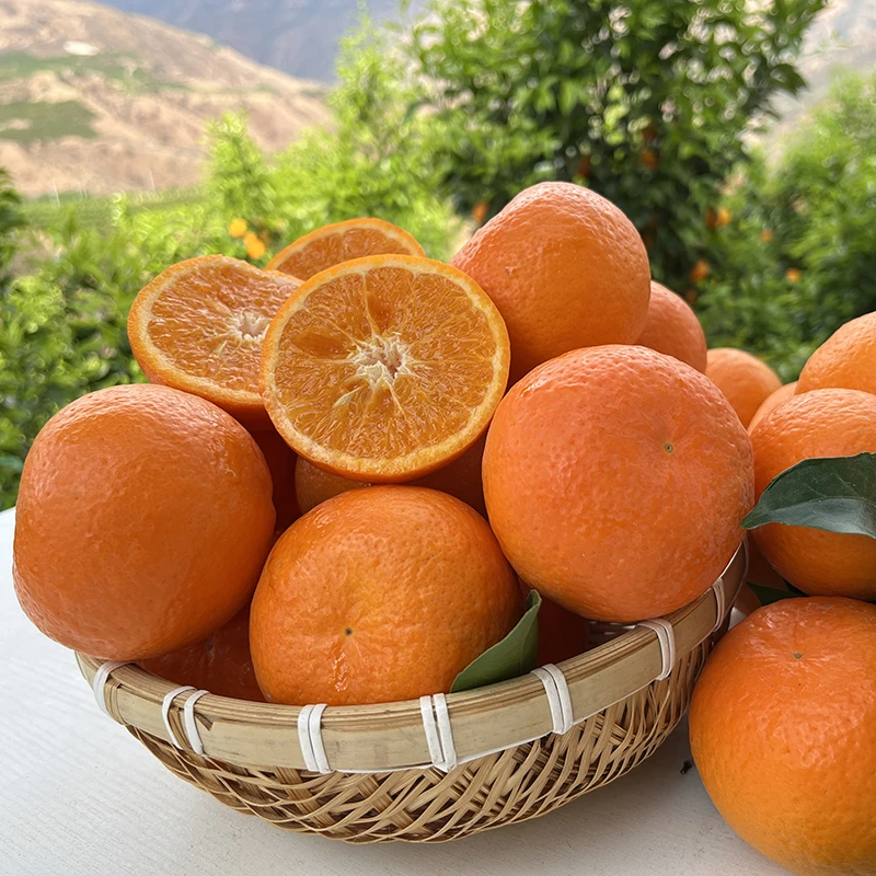 【福利瑕疵果】云南正宗沃柑果农现摘现发新鲜多汁健康营养