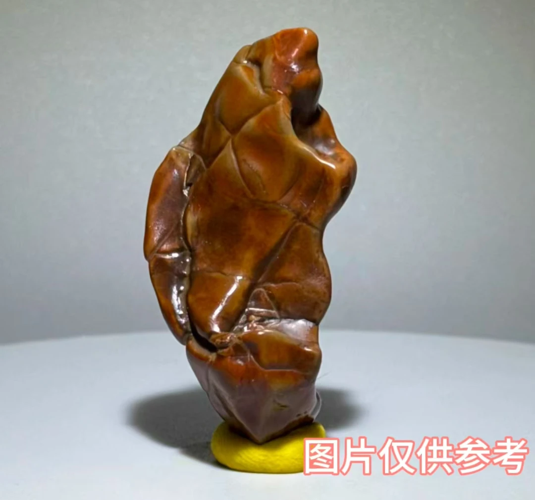 奇石之约 精品阿拉善戈壁石 沙漠漆 象形石