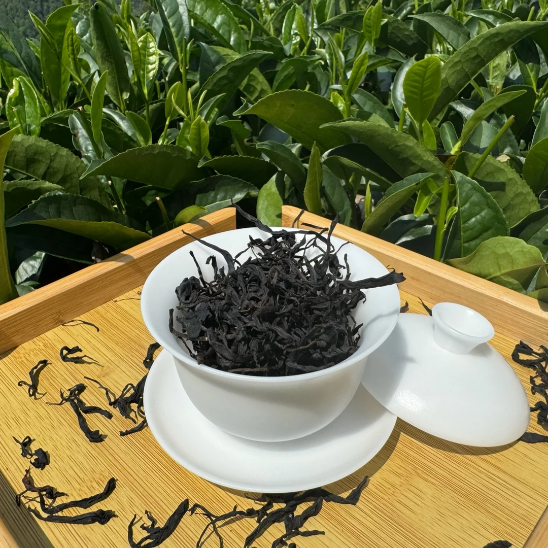 茶叶 原产地 云南红茶 滇红 经典红茶 办公室用茶 財款小茶