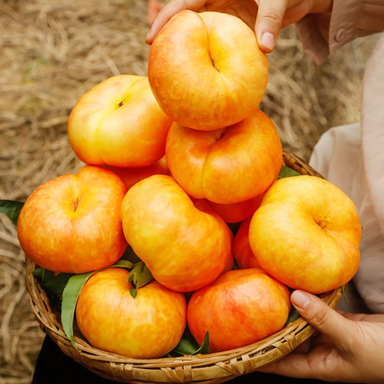 【誉福园】应季鲜摘彩虹油蟠桃单果120g起 脆软两吃 桃味浓郁