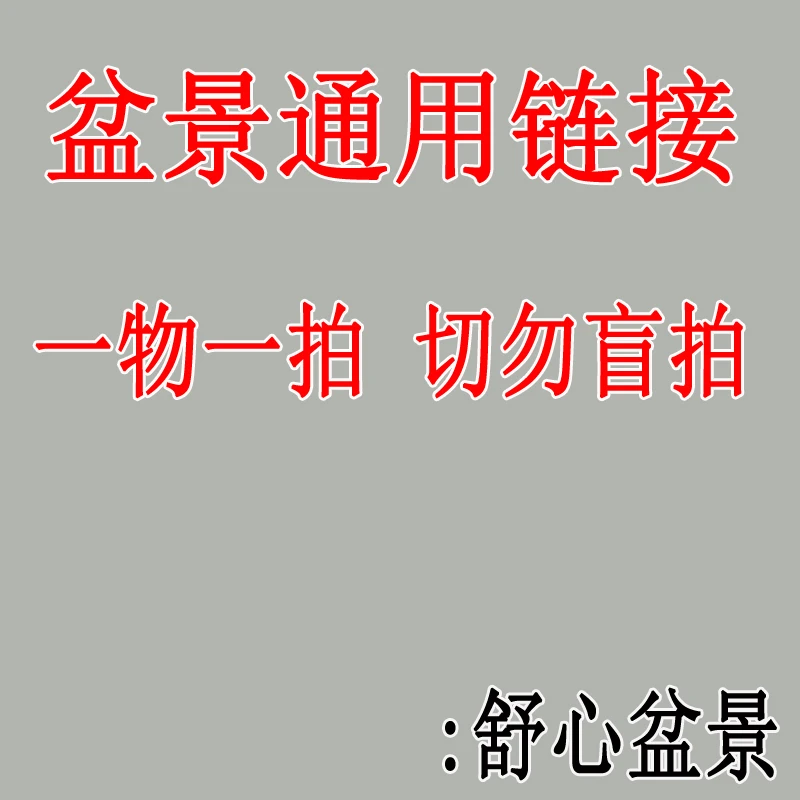 一物一拍切勿盲拍（姬辛夷）