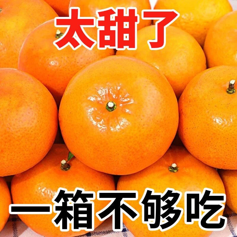 【现摘爆甜】正宗广西沃柑桔橘子超甜应季水果新鲜阳光充足