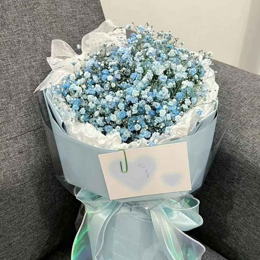 昨日约会【1束蓝满天星】小香风圆形花束送对象女友老婆约会表白礼物生日纪念鲜花小时达同城附近花店送花上门