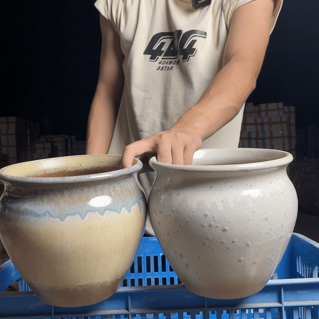 红陶20CM（含）-50CM（不含）