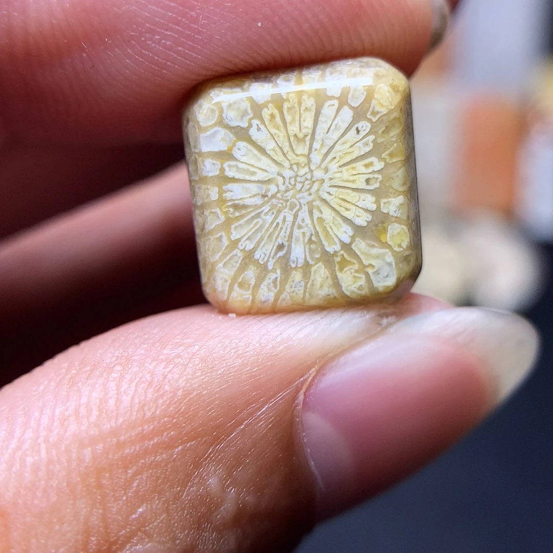 硅化玉珊瑚玉合金我***啦