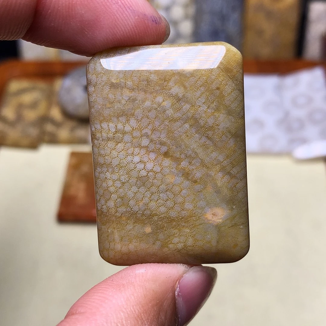硅化玉珊瑚玉合金冷****e