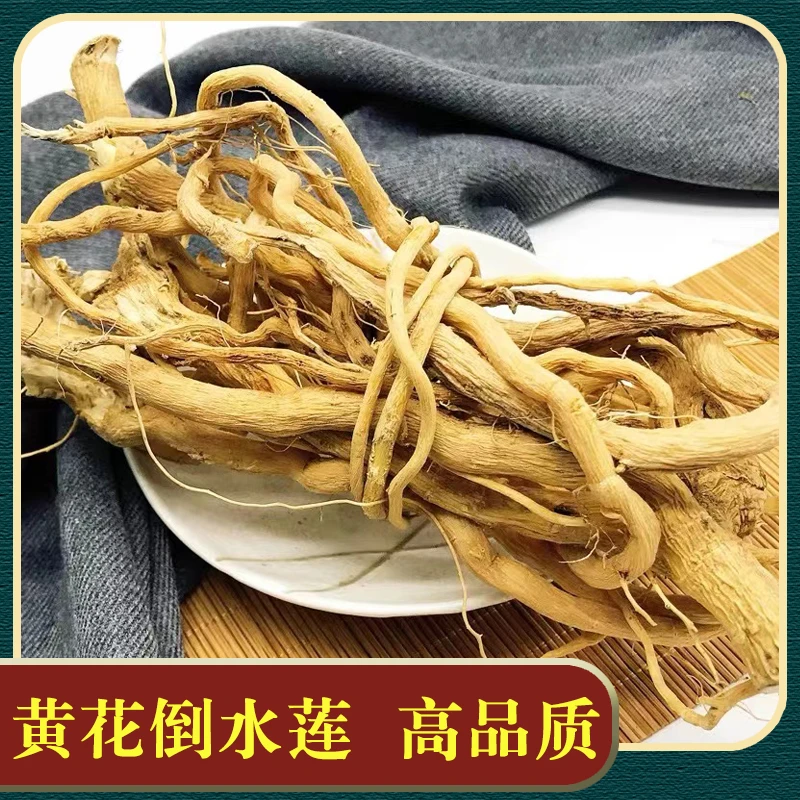 黄花倒水莲整根观音串月子茶倒吊黄花参可煲汤干货黄花远志非葛根