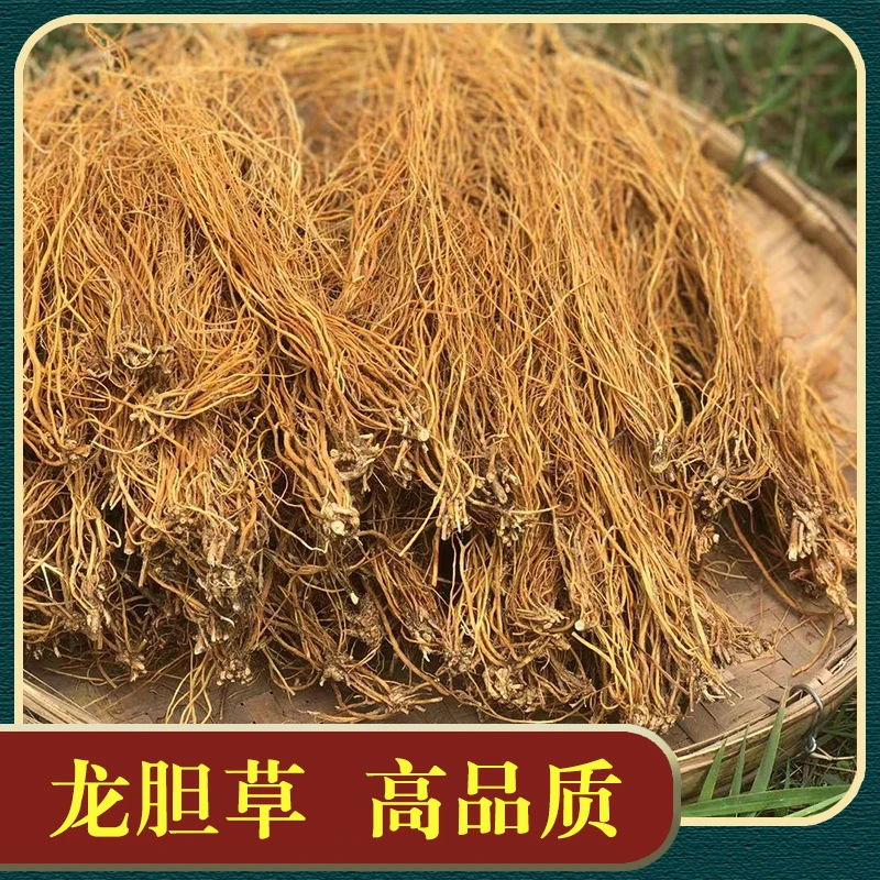 云南龙胆草苦胆草整根精选正品无硫新货散装可煮水100g500g非牛蒡