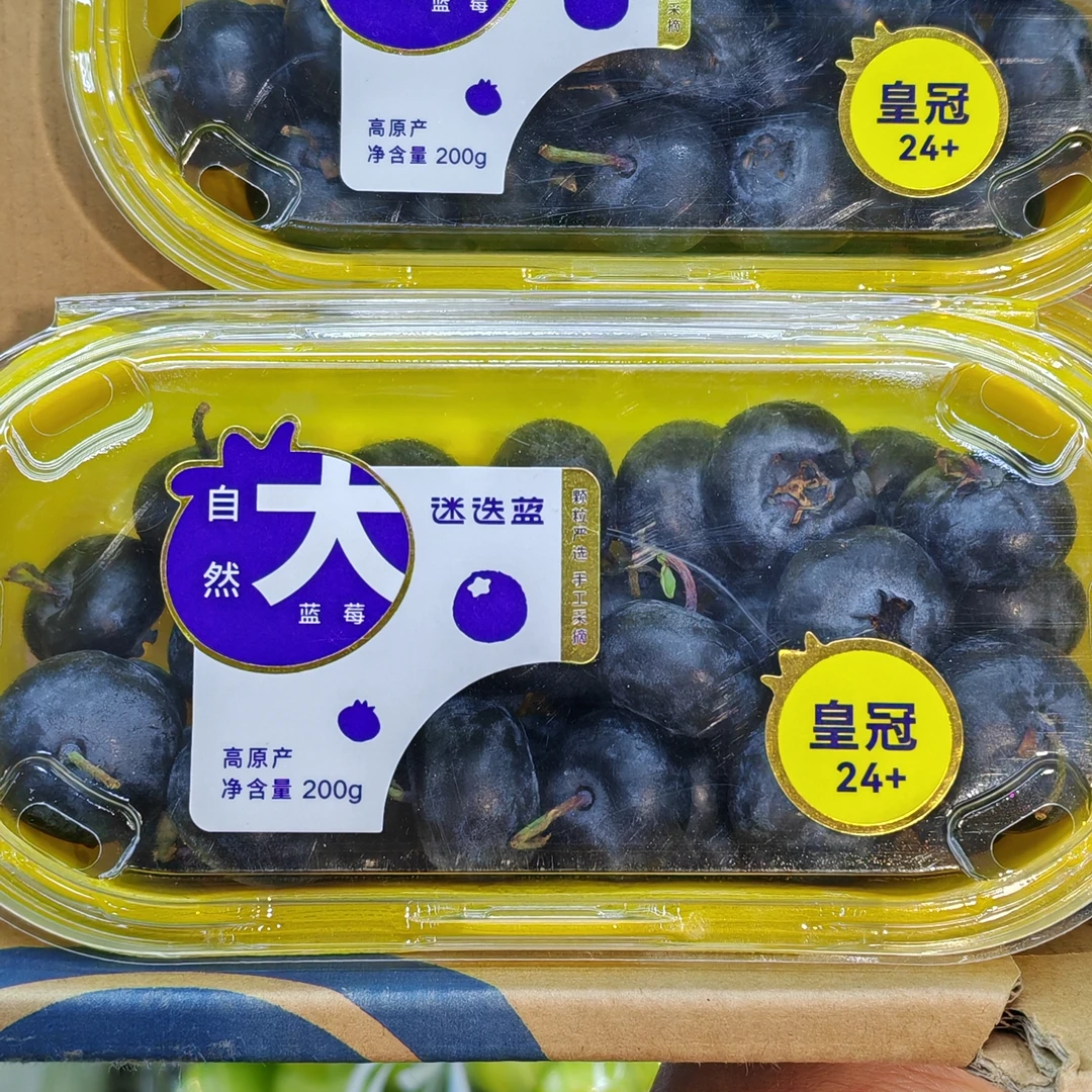 【脆嫩多汁】迷迭蓝24+蓝莓（200g）