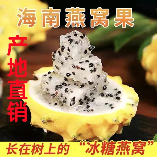 海南麒麟燕窝果礼盒装【新鲜现摘香甜软糯多汁】美味水果清甜多汁