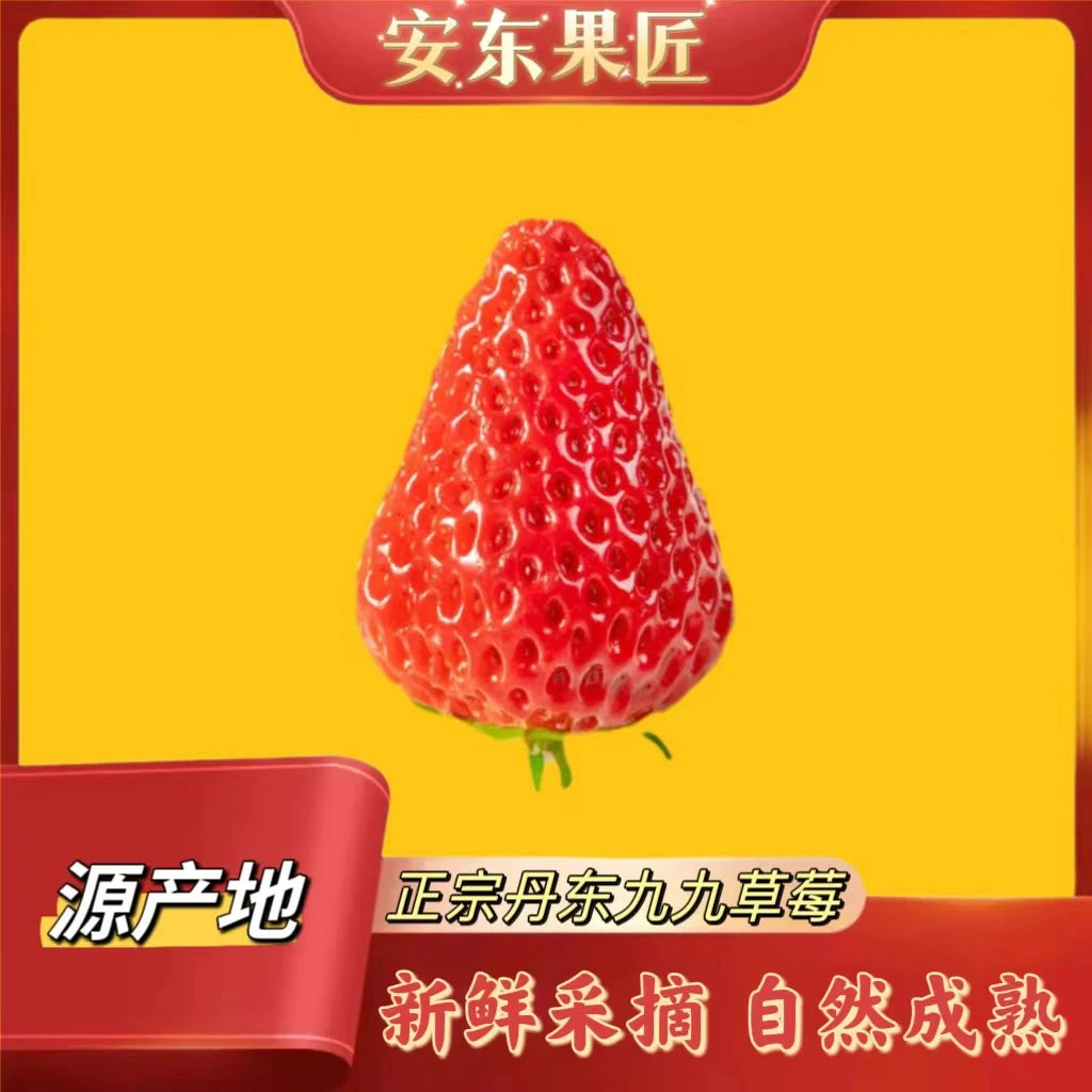 【南方小土豆专属】新鲜丹东九九大草莓  家庭装 净重1.8-2.8斤顺丰